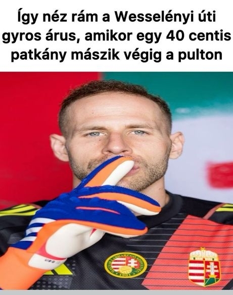 Te szereted az ismert görög húsételt?