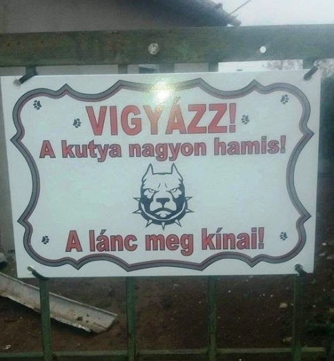Bizarr info