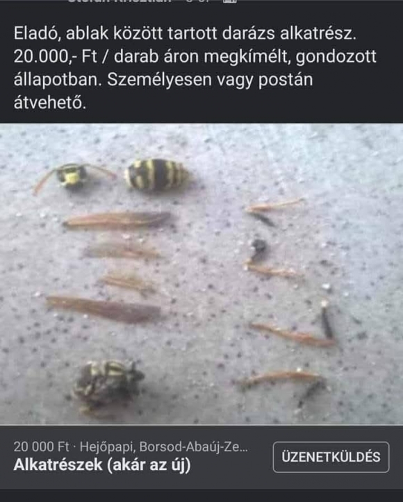 Be is futott a napi apró