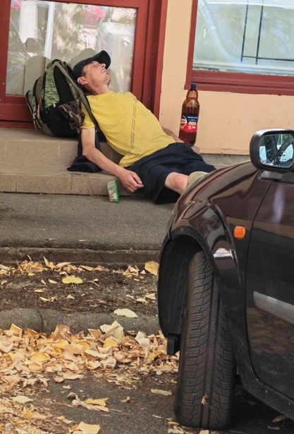 Kánikulai életkép