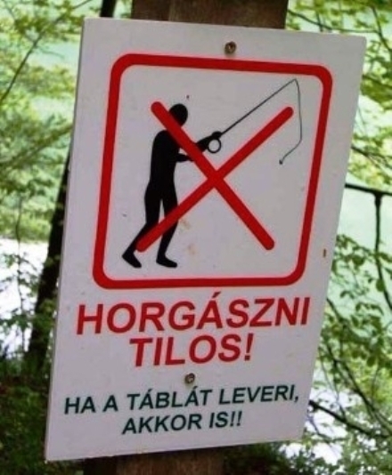 Üzent a helyi halőr