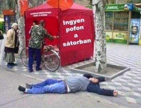 Nem hitt a feliratnak, úgy döntött benéz a sátorba
