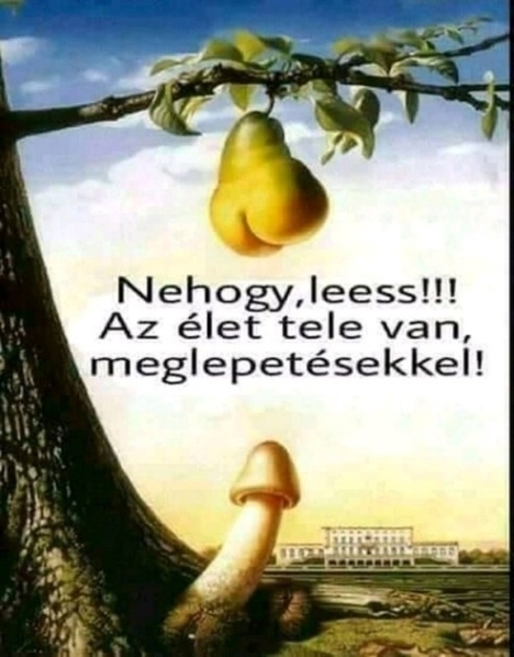 Figyelmeztetés!