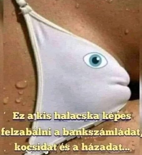 Ezt érdemes észben tartani uraim!